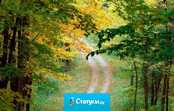 Жизнь — гора: поднимаешься медленно, спускаешься быстро...