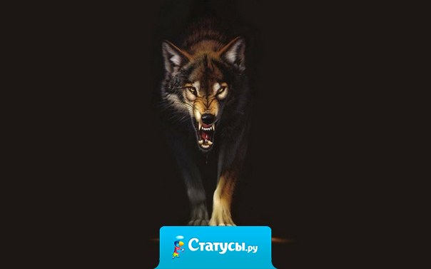 Нет зверя настолько дикого, чтобы он не отзывался на ласку...