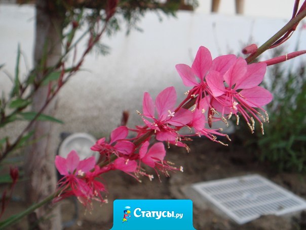 Воспоминания – вот из-за чего мы стареем. Секрет вечной юности – в умении забывать...