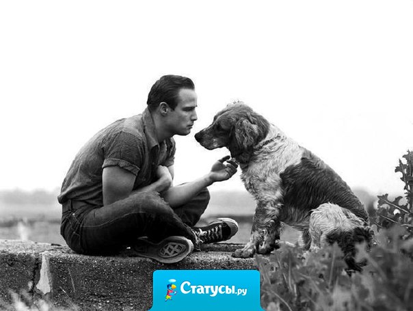 Критикуя, критикуй мнение, а не его автора...