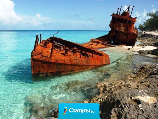 Лень, как ржавчина, разъедает быстрее, чем труд изнашивает...