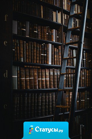 Лучшим средством от забот, тревожности и стресса ученые из Оксфордского университета признали чтение, утверждая, что это занятие оказывает более быстрый эффект на организм. Удивительно, но этот способ много лучше приёма алкоголя, намного эффективнее прогулки, чаепития или прослушивания музыки.