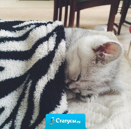 Боль - это когда берешь часы, чтобы посмотреть сколько тебе осталось поспать, а до будильника 1 минута.