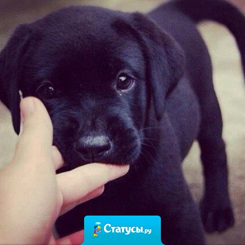 Доброта еще никого не опозорила!