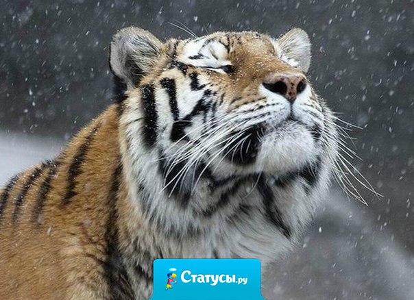 Там, где кончается терпение, начинается выносливость.