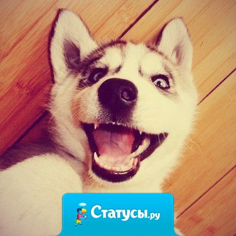 Они для нас - страница в жизни. А мы для них - и есть вся жизнь.