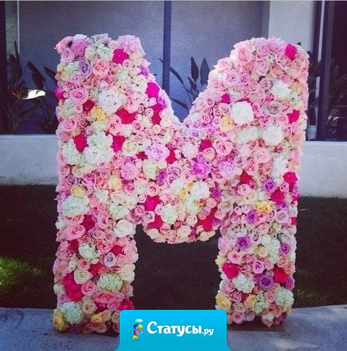 Все самое прекрасное начинается на букву М.