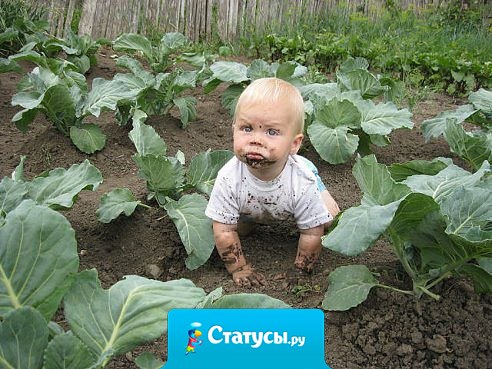 Что я тут делаю? - Сестренку себе ищу.