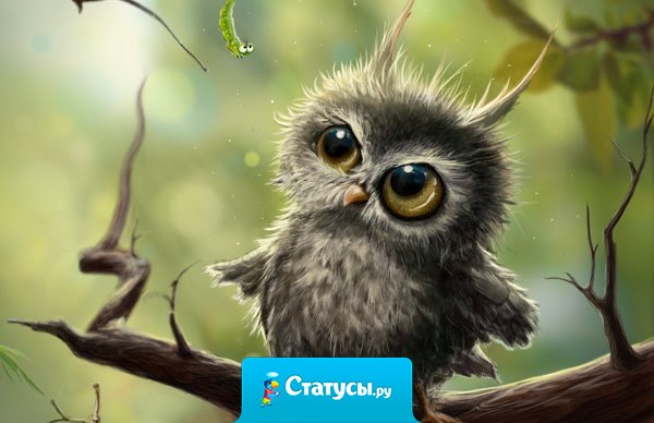 А я чё? Я ничё. Другие вон чё, и ничё, а я чуть чё, и сразу вон чё!