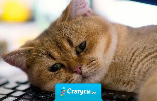 Море поет, волна зовет! А мы такие на работе...