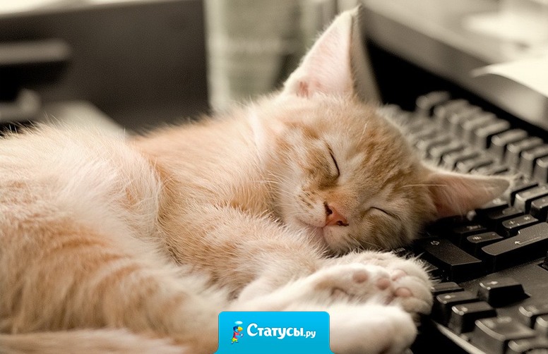 Сегодня моя работоспособность вообще не пришла со мной на работу!