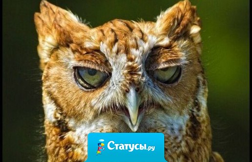 Спросила подругу, зачем она постоянно пьёт успокоительное.Ответ шикарный: 