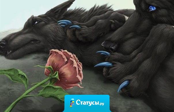 У зверей закон такой: Умрет она, умрет и он. А у людей закон иной: Умрет она, а он к другой.