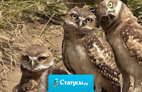 Лица моих друзей... когда я говорю, что пить не буду!!!