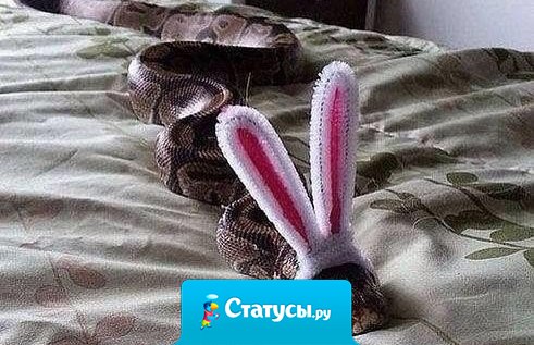 Изо всех сил стараюсь быть заинькой- паинькой. Но характер выдаёт.