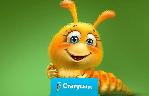Хорошо быть гусеницей: жрешь — жрешь — жрешь, потом закутываешься, спишь — спишь — спишь, просыпаешься — красавица!