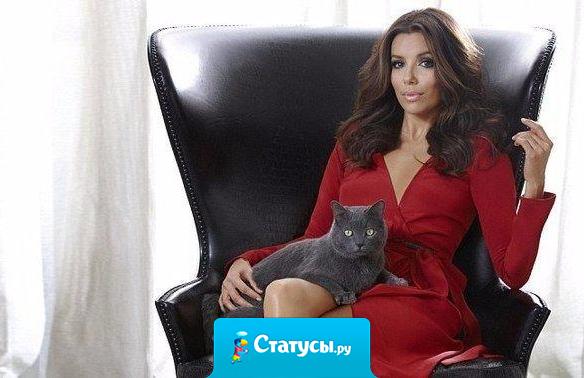 Девоньки, оптимистичнее! Нет ни парня, ни кота? Пишите - Семейное положение: никто не гадит ни в тапки... ни в душу!