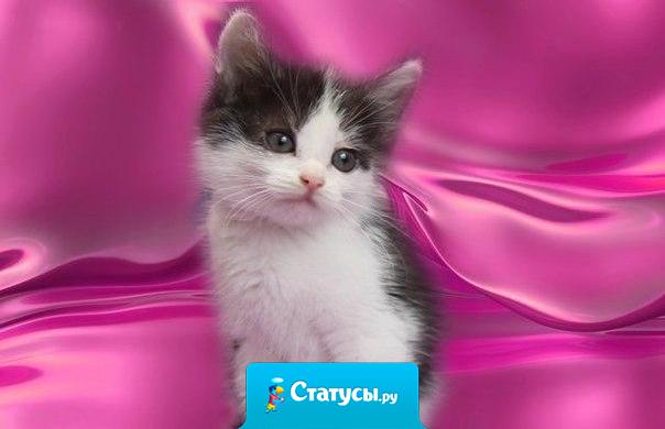 Дорогой Бог! Я хочу обратиться к тебе не для того, чтобы попросить у тебя о чем - то, а просто сказать спасибо за все что у меня есть!