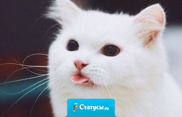 Весомый аргумент девушки в любом споре с мужчиной.