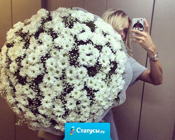 Все любят розы, а я люблю ромашки.