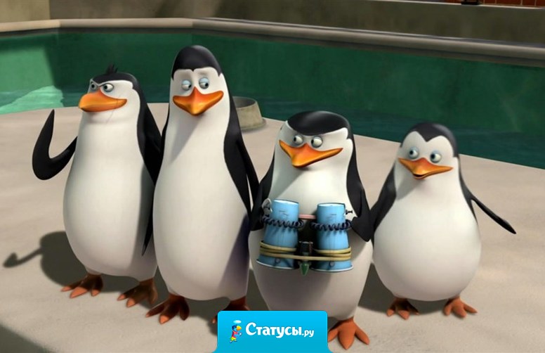 Друг - это враг, который пока не напал на тебя.