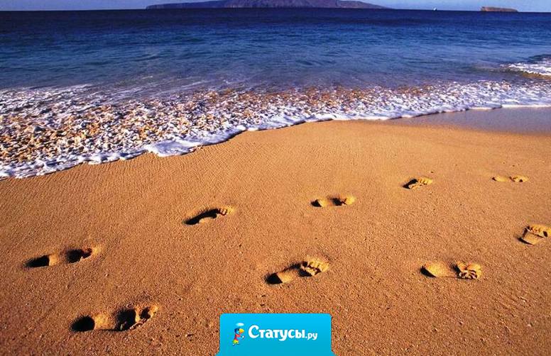 Жизнь чем-то похожа на шведский стол. Кто-то берет от нее столько, сколько хочет, другие — сколько могут. Кто-то — сколько совесть позволяет, другие — сколько наглость. Но правило для всех одно — с собой ничего уносить нельзя!