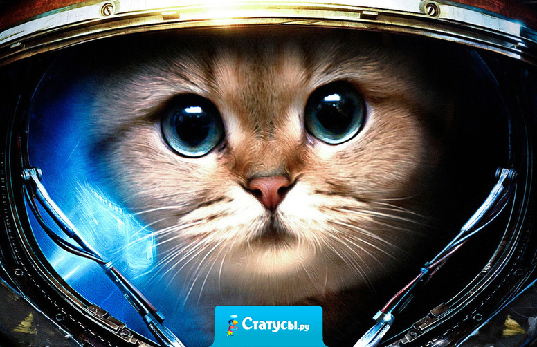 Пересмотрел свои взгляды, опять всё понравилось.