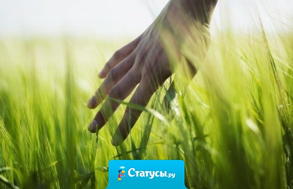 Пока ты стоишь лицом к своему прошлому, ты стоишь жопой к своему будущему!