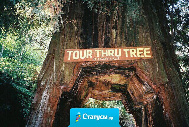 Мы без памяти влюбляемся в то место, где забывали о всех проблемах.