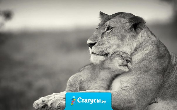 Дружбу не планируют, про любовь не кричат, правду не доказывают.