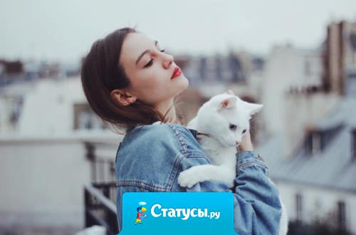 Не стоит обижать женщин и кошек - и те, и другие найдут способ вам отомстить.