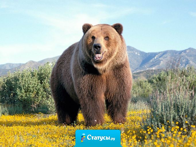 Россияне в следующий кризис не покупайте машины и квартиры - лучше скинуться и купить Европу! Представьте просыпаются они однажды, а вокруг - Россия!!!