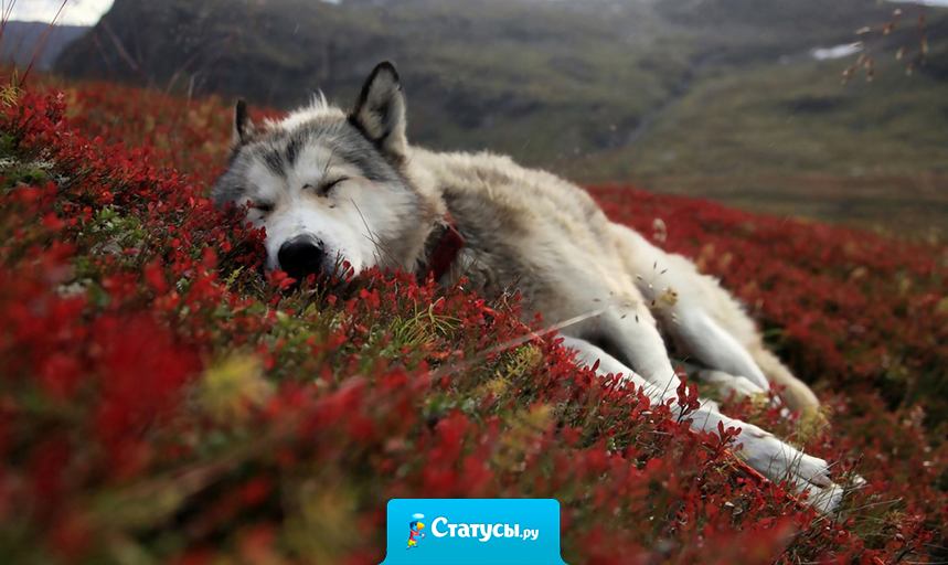 У каждого из нас есть кладбище — кладбище чувств. На котором мы хороним чувства, которые мы испытывали к тому или иному человеку, будь то любовь, ненависть, зависть, ревность, доверие, симпатия, надежды, мысли…