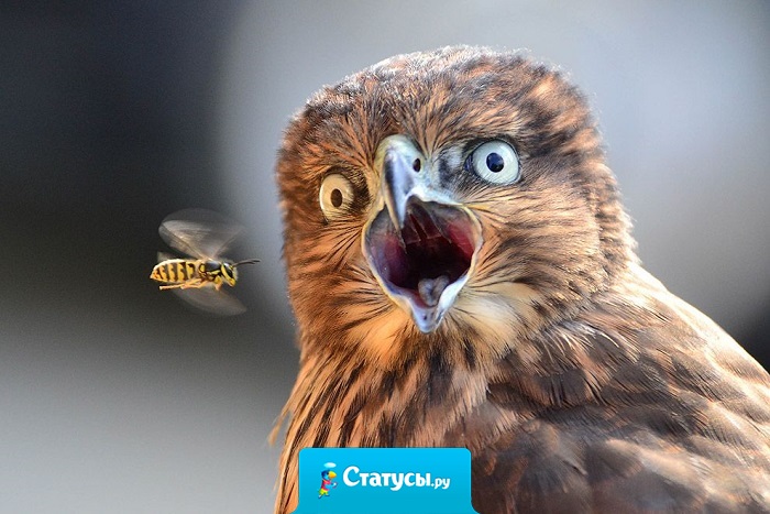 Сегодня наблюдала за работой электрика...И поняла, что все провода делятся на две категории - 