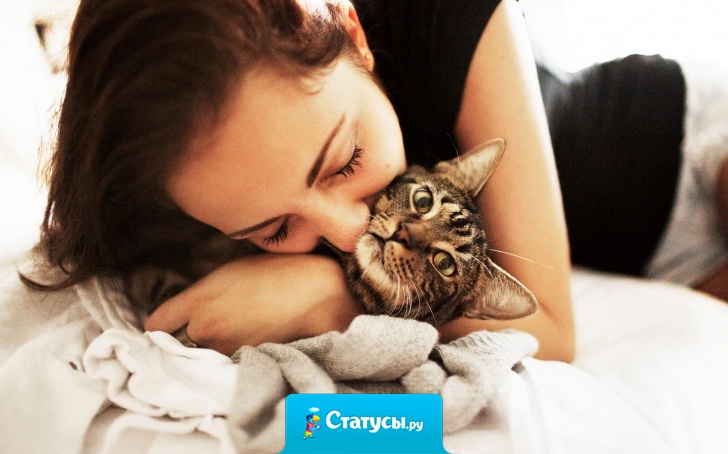 Муж — мне: - Перестань называть меня «котя»! Потому что когда ты орёшь с кухни: «Котя иди жрать!», мы с котом бежим и сталкиваемся с ним в проёме, где у нас возникают небольшие разногласия!