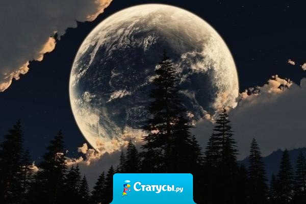 Никогда не игнорируй человека, который заботится больше всего о тебе. Потому что в один прекрасный день, ты можешь проснуться и понять, что потерял луну, считая звёзды.