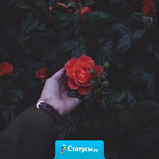 Меня не интересует ваша жизнь, и хотелось бы, чтобы это было взаимно.