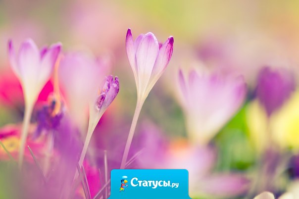 Лучший учитель в нашей жизни – сама жизнь, поскольку ее уроки невозможно прогулять.