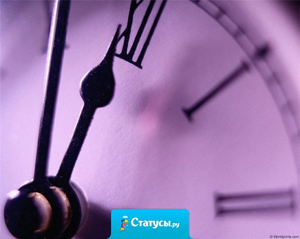 Мы рождаемся за день. За день умираем. И за день можем измениться. И за день можем влюбиться. Всего за один день может произойти что угодно!