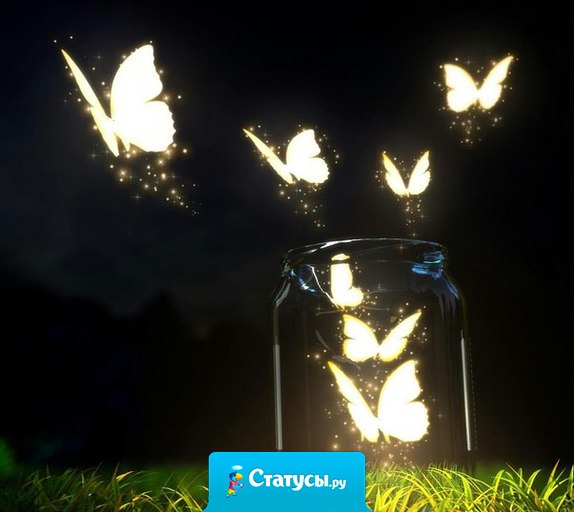 Принимай с благодарностью всё, что тебе посылается. Тебе даётся то, что необходимо.