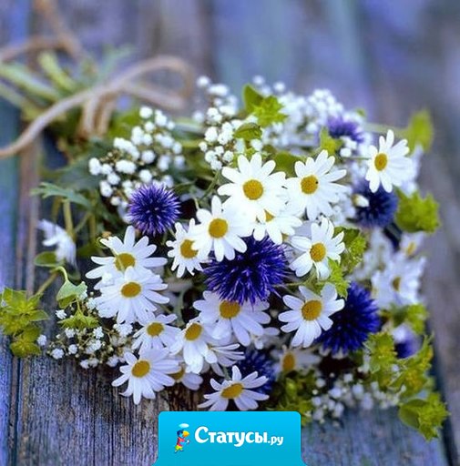 Сделай жизнь вокруг себя красивой. И пусть каждый человек почувствует, что встреча с тобой — это дар.