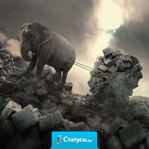 Тебе никто никогда не поможет, ты всего должен добиться сам!