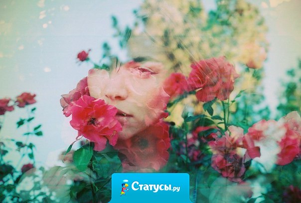 Утверждение, что невозможно всю жизнь любить одну и ту же женщину, так же неразумно, как и считать, что известному скрипачу для исполнения разных песен нужны разные скрипки.