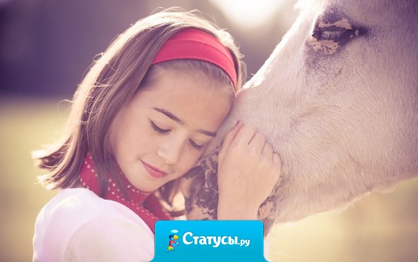 Лицо вообще штука удивительная. По лицу сразу видно, потерял человек душу или нет. Если не потерял, если душа на месте, то лицо излучает мягкий свет. Свет любви.