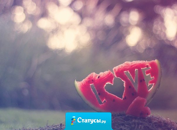 Жизнь — это тебе не супермаркет, дружище. ​Любовь найти нельзя. Её можно только встретить.