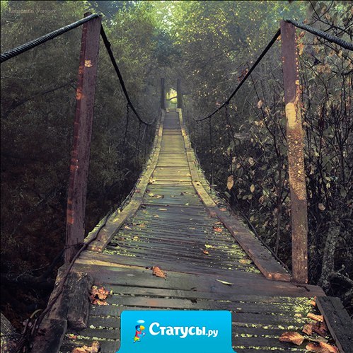 Жизнь человека — это череда определенных выборов. Выбирай правильно.