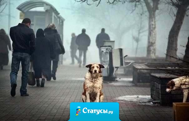 Самое страшное - это чувствовать себя никому не нужным...