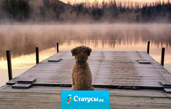 Не печальтесь ни о чем заранее и не радуйтесь тому, чего еще нет...