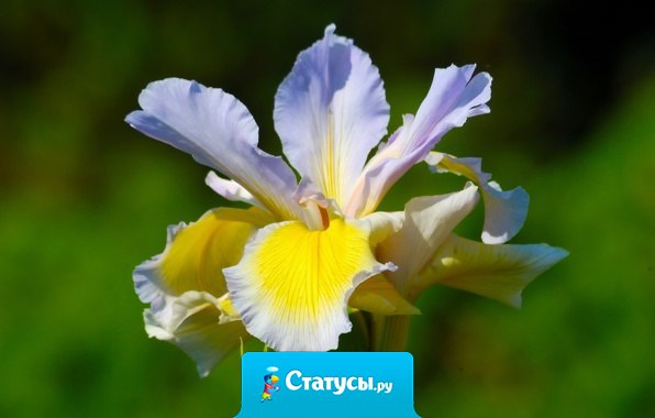 Скромность и добросовестность вознаграждаются только в романах...