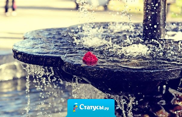 Золотое правило жизни: не переживай из-за того, что ты не в силах изменить, просто прими ситуацию такой, какая она есть, ведь мы не пытаемся изменить погоду, мы просто одеваемся по погоде!